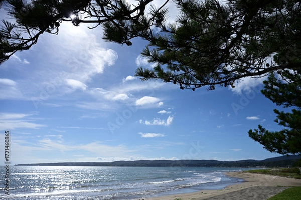 Obraz 海岸の景色