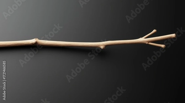 Fototapeta A light brown branch with three small leaves.