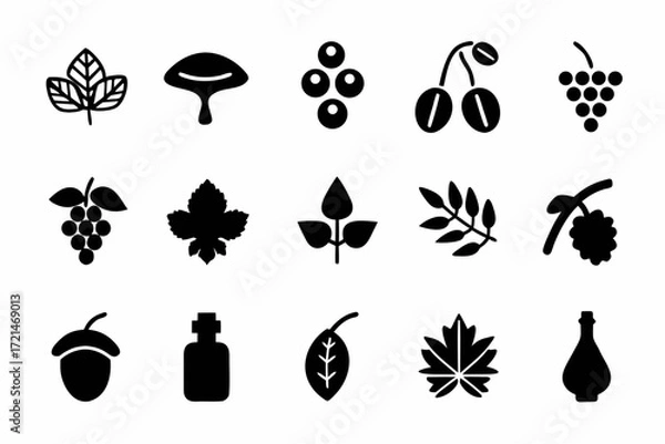 Fototapeta Collection of plant icons set of different plant designs for nature and botany related projects