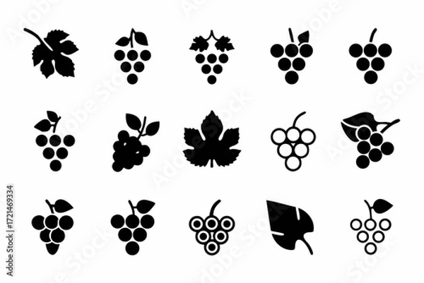 Fototapeta Collection of grape icons set of different grape designs for food and beverage related projects