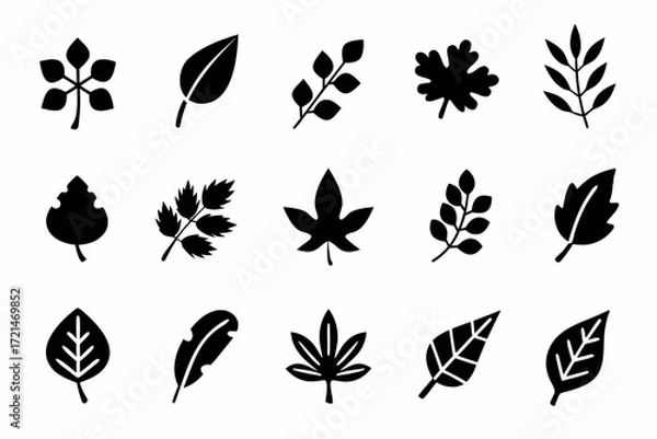 Fototapeta Collection of various leaf icons set of different leaf shapes and styles for nature, plant, and autumn designs and concepts