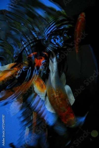 Obraz abstract futuristic background gold fish 