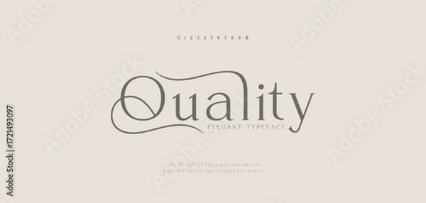 Fototapeta Quality, Elegant wedding logo alphabet letters font. Typography luxury classic lettering serif fonts decorative vintage retro logos and number. vector illustration