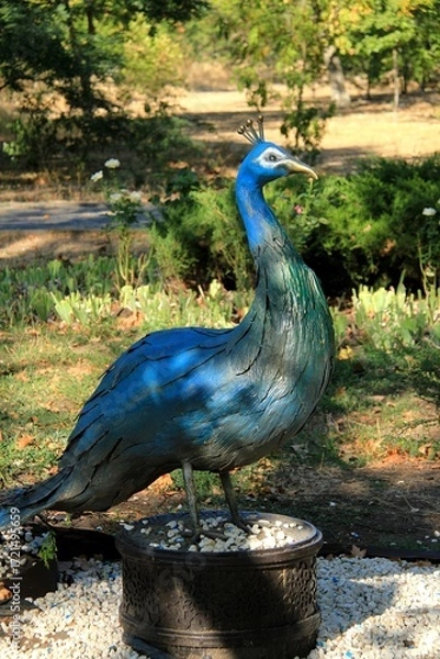 Obraz peacock in the park