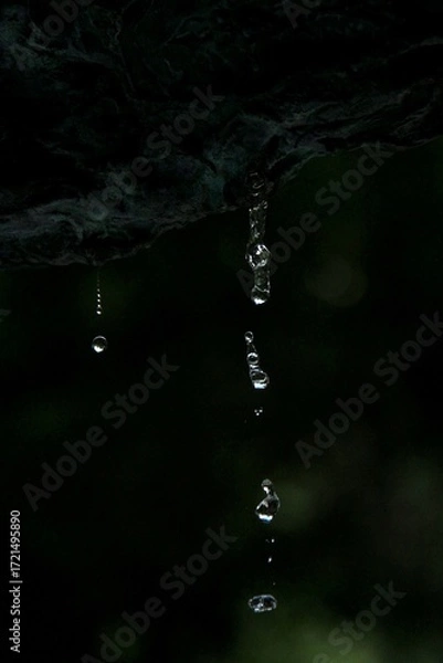 Obraz rain drops on the window