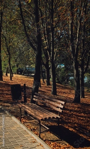 Obraz bench in autumn park