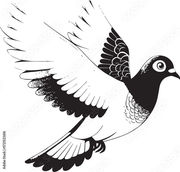 Fototapeta vector illustration of a pigeon bird