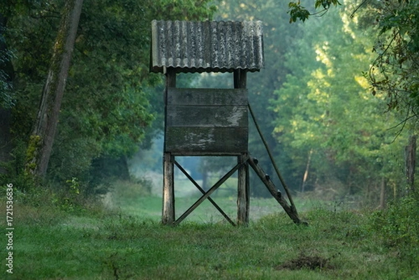 Fototapeta Hunting tower in the forest	
