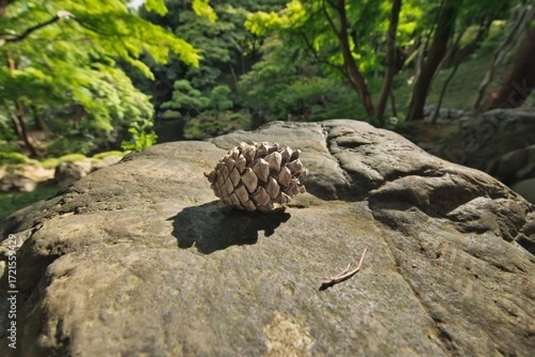 Obraz 松ぼっくりと渓谷