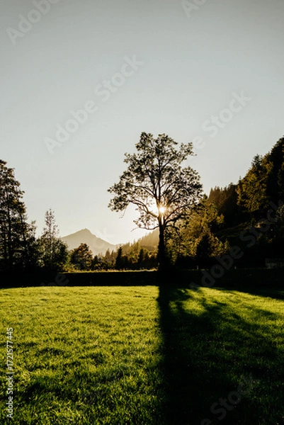 Obraz ?sterreich 2025