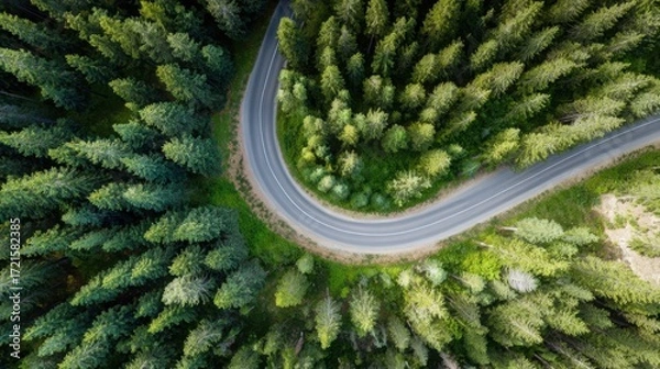 Fototapeta aerial. Aerial view of a serene forest road winding through lush greenery under natural daylight. travel magazines, destination branding, designed for travel destination branding.