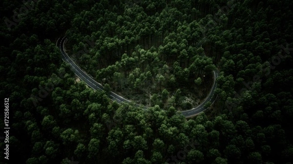 Fototapeta aerial. Aerial view of a serene forest road winding through lush greenery under natural daylight. travel magazines, destination branding, designed for travel destination branding.