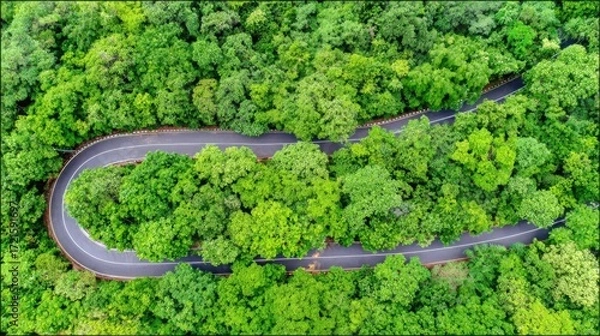 Fototapeta aerial. Aerial view of a serene forest road winding through lush greenery under natural daylight. travel magazines, destination branding, designed for travel destination branding.