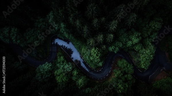 Fototapeta aerial. Aerial view of a serene forest road winding through lush greenery under natural daylight. travel magazines, destination branding, designed for travel destination branding.