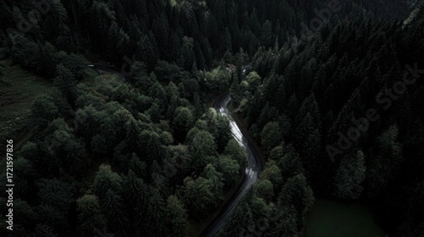 Fototapeta aerial. Aerial view of a serene forest road winding through lush greenery under natural daylight. travel magazines, destination branding, designed for travel destination branding.