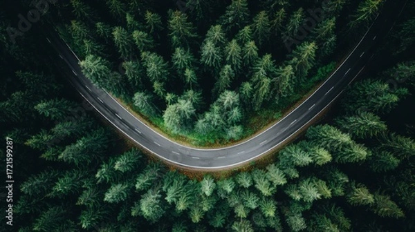 Fototapeta aerial. Aerial view of a serene forest road winding through lush greenery under natural daylight. travel magazines, destination branding, designed for travel destination branding.