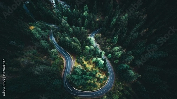 Fototapeta aerial. Aerial view of a serene forest road winding through lush greenery under natural daylight. travel magazines, destination branding, designed for travel destination branding.