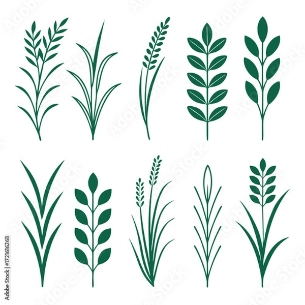 Fototapeta Collection of Green Botanical Elements on Black Background