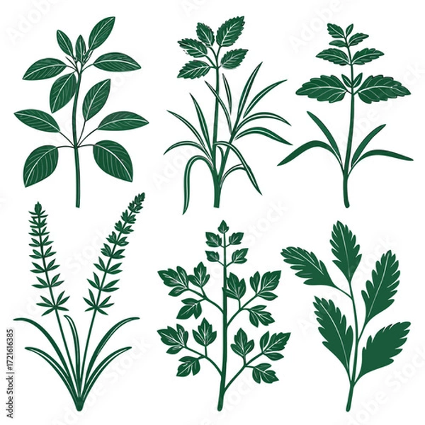 Fototapeta Abstract Green Plant Illustrations with Colorful Geometric Overlays