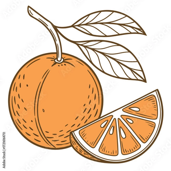 Obraz Orange Fruit and Slice with Leaves on Black Background Keywords: orange, fruit, citrus, slice