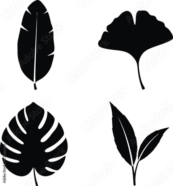 Fototapeta Four leaf icons representing botanical diversity