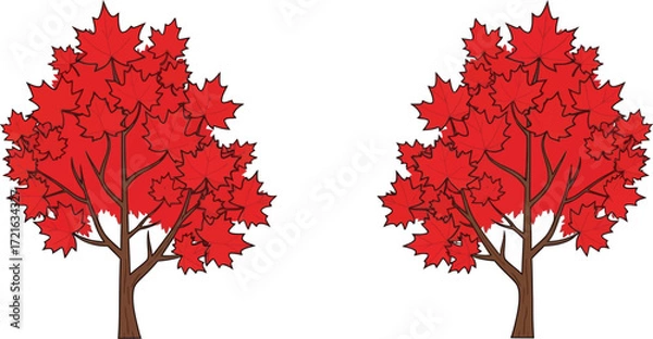 Fototapeta Two red maple trees with autumn foliage
