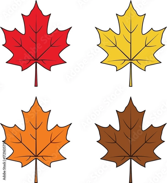 Fototapeta Four colorful maple leaves in autumn colors