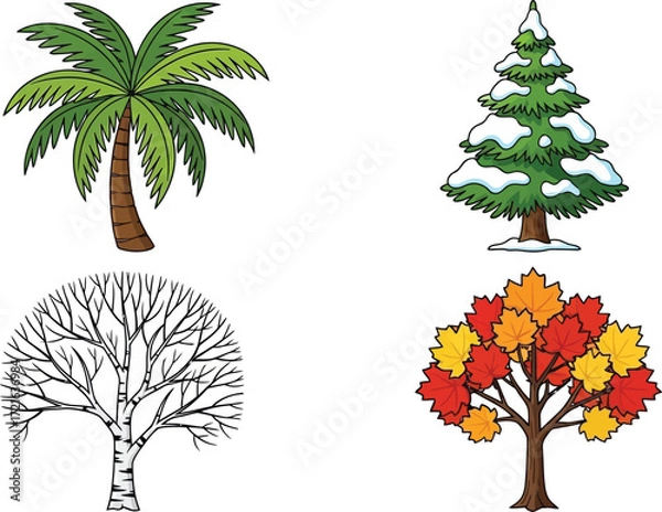 Fototapeta Four trees, including palm, fir, birch, and maple in seasonal designs