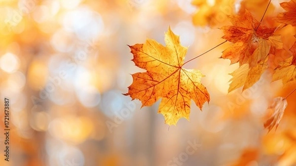 Fototapeta A blurred autumn background with space available for text, showcasing bright autumn leaves, featuring red and orange maple leaves as key elements of the season.