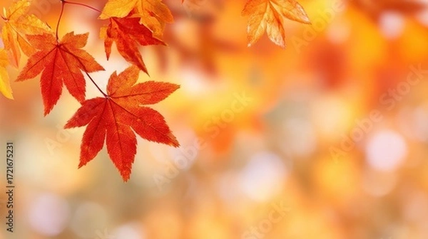 Fototapeta A blurred autumn background with space available for text, showcasing bright autumn leaves, featuring red and orange maple leaves as key elements of the season.