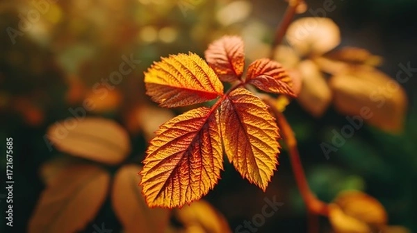 Fototapeta A blurred autumn background with space available for text, showcasing bright autumn leaves, featuring red and orange maple leaves as key elements of the season.