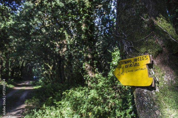 Obraz Camino de Santiago