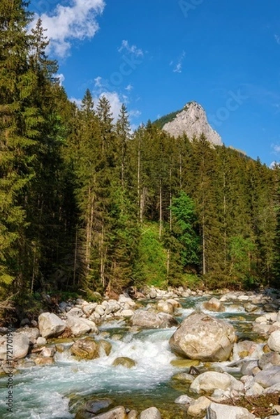 Fototapeta Clear mountain stream rushing between boulders in a coniferous forest. Rocky peak rises in the background. Peaceful summer nature scene from the mountains of Slovakia. Belianske Tatry