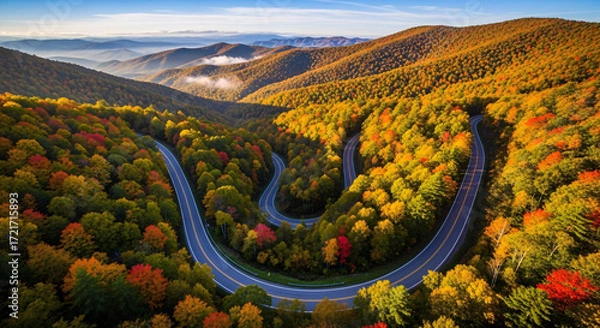 Fototapeta An aerial view of a winding road snaking through a vibrant autumn forest in the mountains.