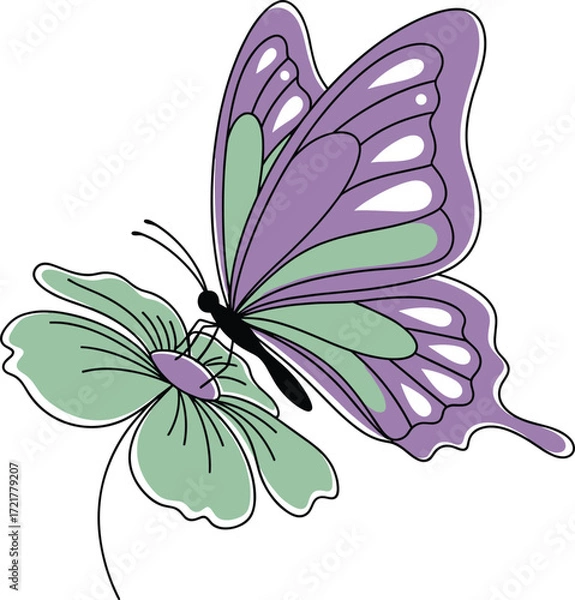 Fototapeta Colorful Vector Illustration of a Purple and Green Butterfly with Decorative Wings