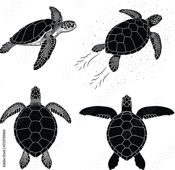 Fototapeta Vector Illustration Set of Sea Turtles in Different Swimming Poses with Detailed Shell Patterns