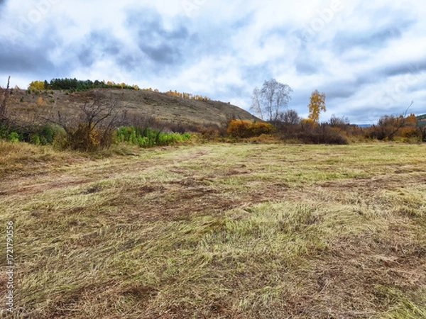 Fototapeta Golden fields of autumn grasses sway gently beneath the overcast skies, creating a serene atmosphere in this peaceful rural landscape, where rolling hills elegantly rise in the backdrop.