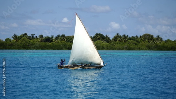 Obraz OLYMPUS DIGITAL CAMERA