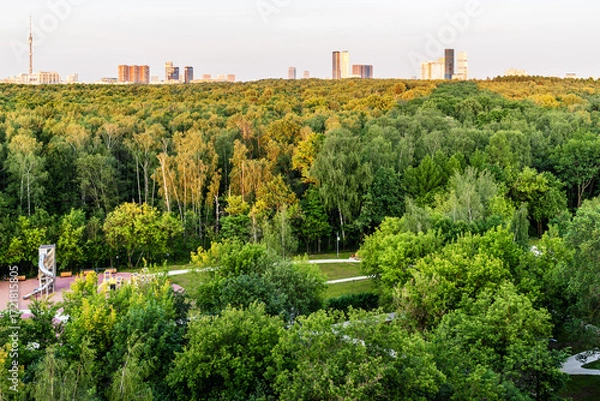 Obraz above view of green city park lit by setting sun