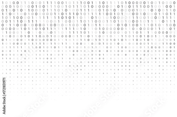 Fototapeta 1623_binary code