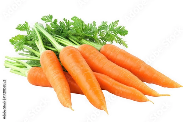 Fototapeta Fresh orange carrots with green leafy tops isolated on a transparent background vegetable