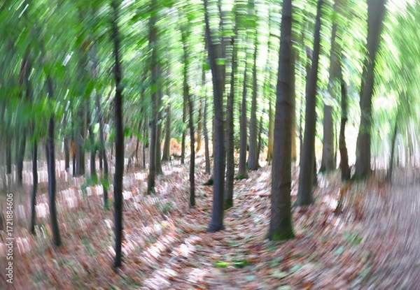 Fototapeta Trees in a forest landscape with rotation ICM motion blur abstract