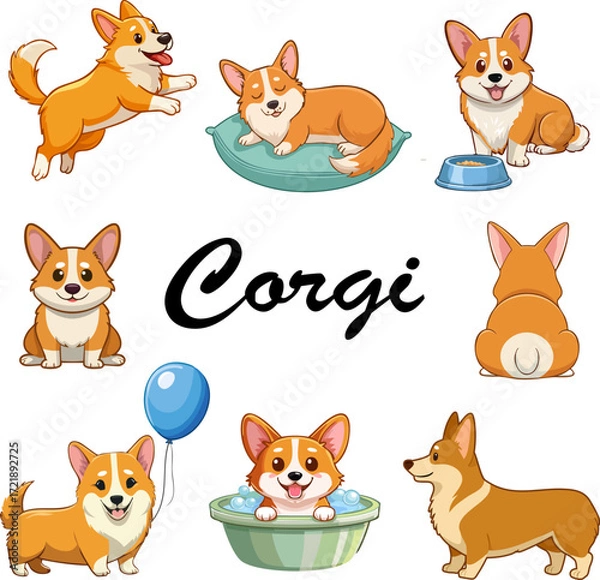 Fototapeta Collection of funny corgis.Color vector illustration with corgi dogs in different poses on a white background.