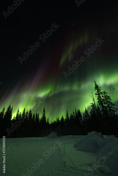 Fototapeta Colorful Aurora borealis northern lights. A breathtaking view of the Northern lights or aurora borealis in Lapland, Finland