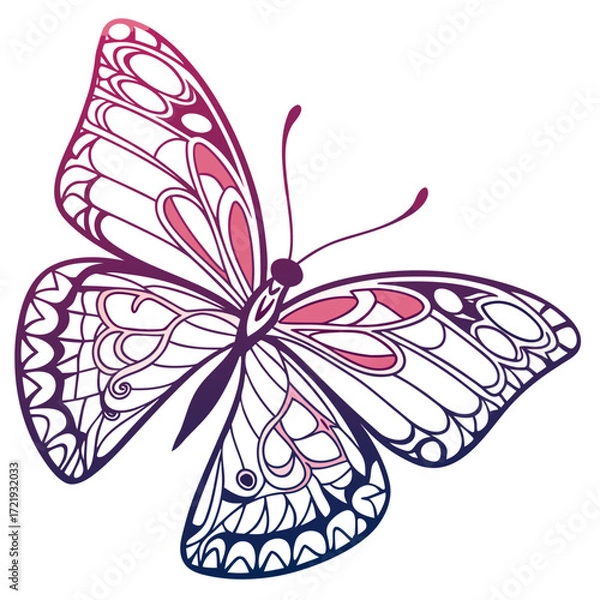 Fototapeta Gradient butterfly with intricate details