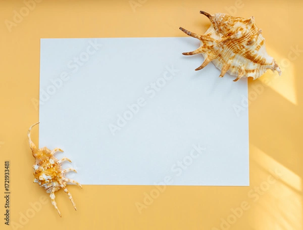 Fototapeta Collection of exotic seashells with unique spiky shapes and natural textures, arranged on a light background with free space for text, perfect for cards, invitations, or document design.