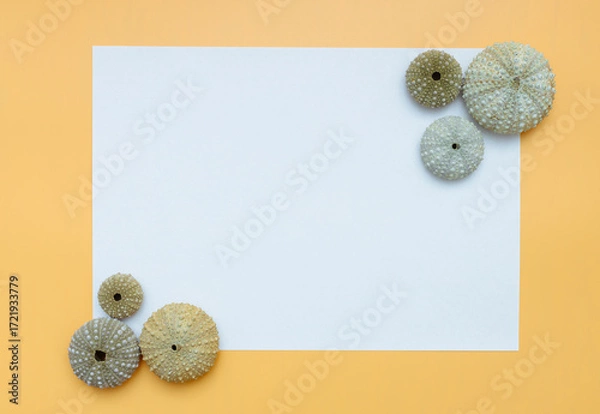 Fototapeta Collection of exotic seashells with unique spiky shapes and natural textures, arranged on a light background with free space for text, perfect for cards, invitations, or document design.
