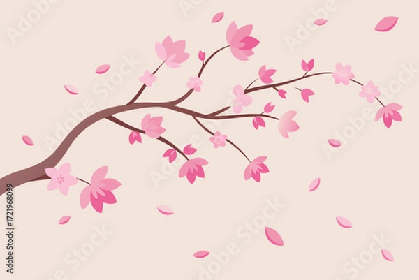 Fototapeta Delicate pink cherry blossoms bloom on a tree branch with petals falling