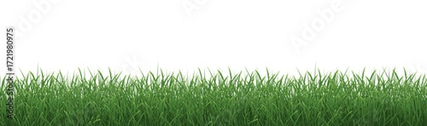Fototapeta Grass Border With Isolated White Background