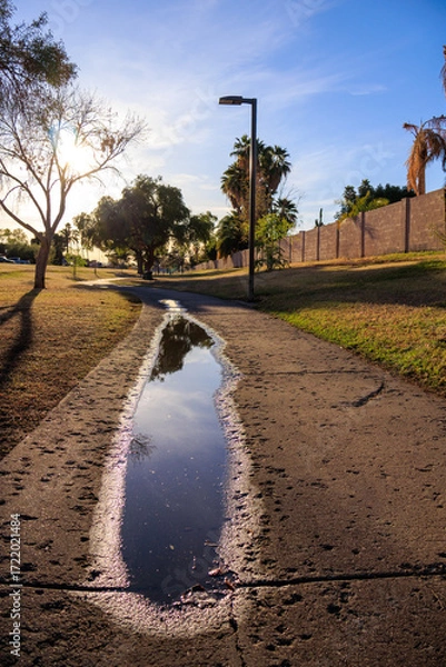 Fototapeta Backlit shot of a wet winding path with huge puddles after a spring rain in Conocido park in late afternoon, Phoenix, Arizona 